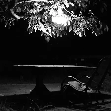 Bauwagen, Tiny House In Warnitz Am Oberuckersee